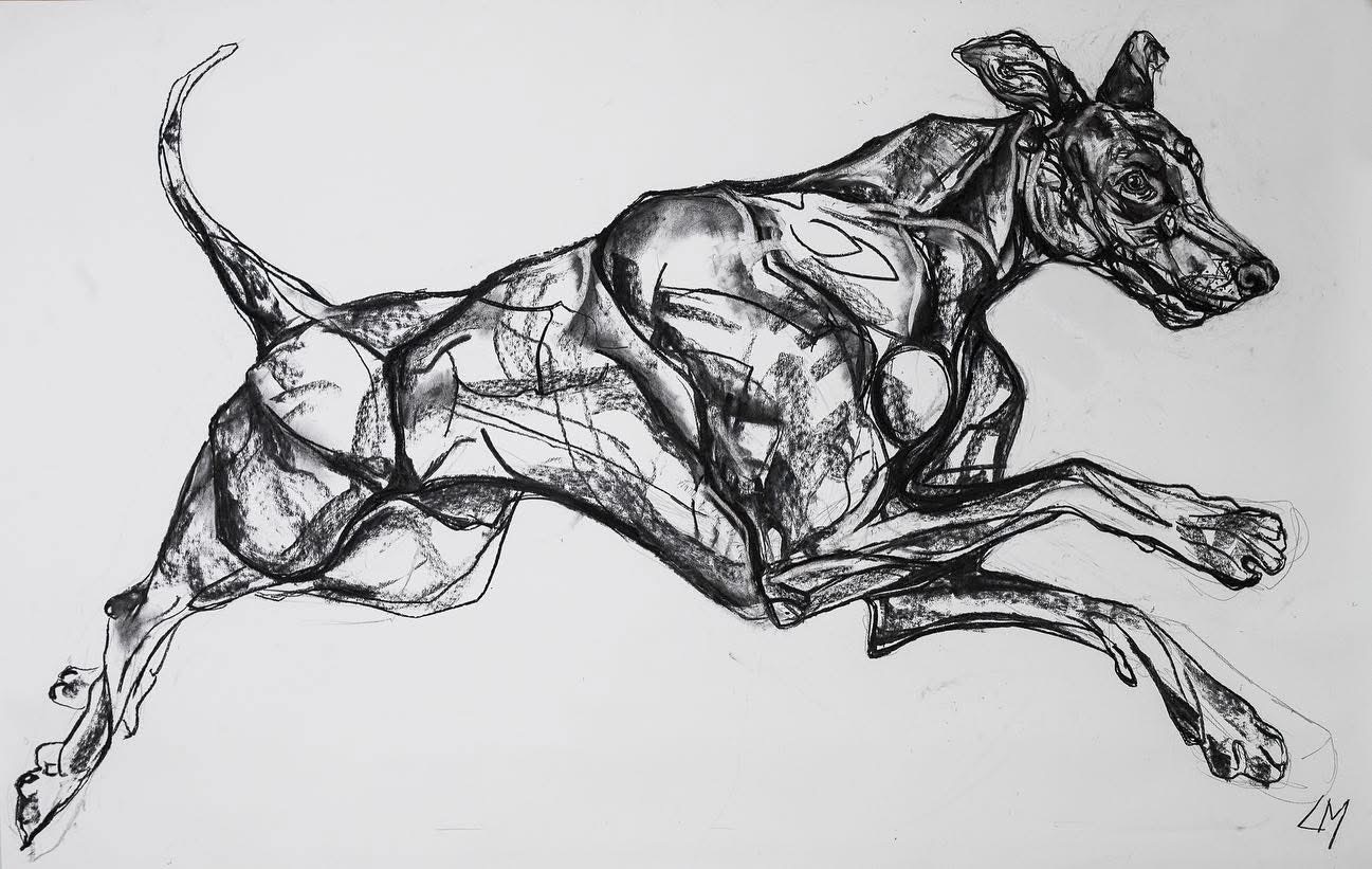 Charcoal drawing of a dog stretched through a full running stride