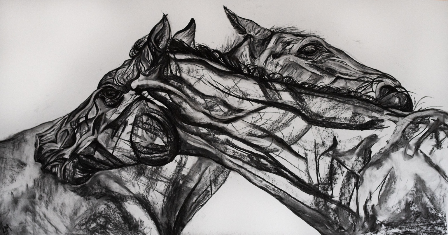 Layered charcoal study of two horses in close movement
